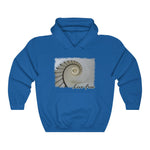 Aspire, Classic Unisex Heavy Blend™ Hooded Sweatshirt